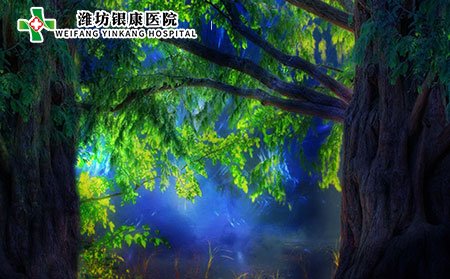 濰坊皮膚病醫(yī)院為您介紹皮膚過敏中醫(yī)治療有哪些?