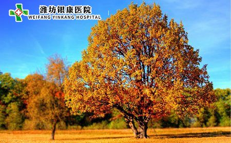 白癜風(fēng)是什么?白癜風(fēng)會傳染嗎?