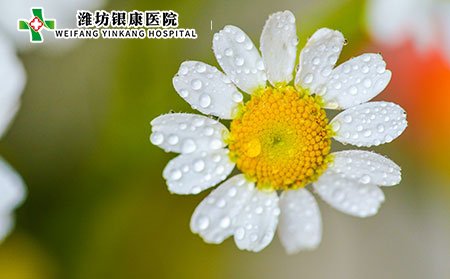 孕婦白癜風注意事項有哪些?如何養(yǎng)身?